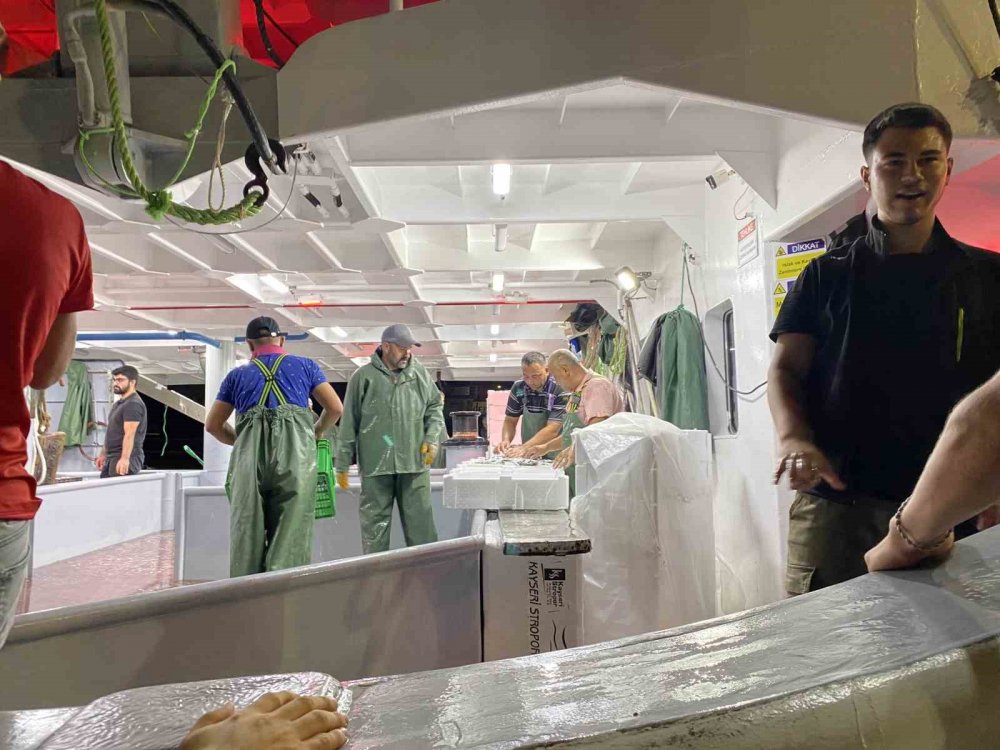 Av yasağı bitti, 2023 sezonun ilk balıkları avlandı!