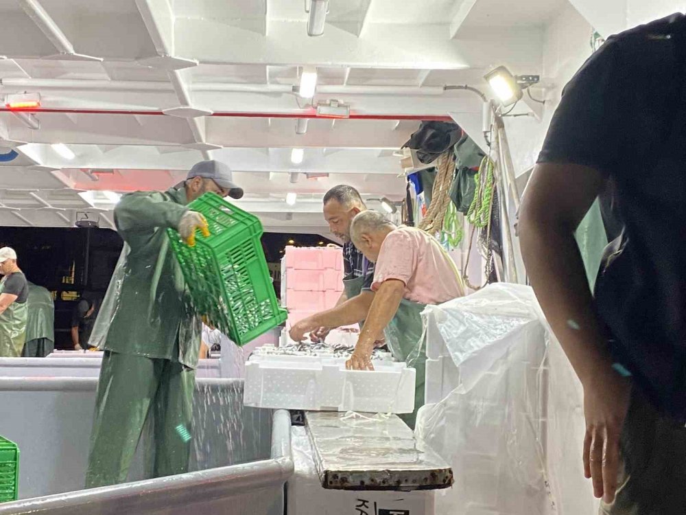 Av yasağı bitti, 2023 sezonun ilk balıkları avlandı!