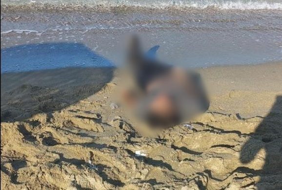 Halk Plajı'nda yüreklere acı veren görüntü! Deniz kıyısına vurmuş erkek cesedi bulundu