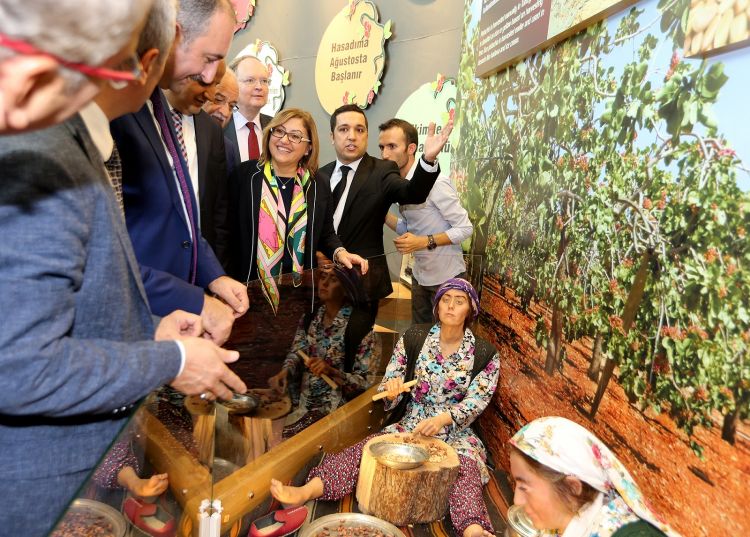 Dünyada ilk ve tek fıstık müzesi Gaziantep'te! Müze ziyaretçilerini tarihi yolculuğa çıkarıyor