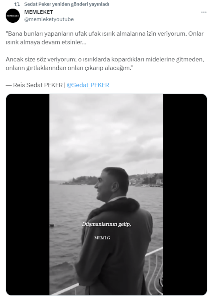 Sedat Peker yeniden ortaya çıktı! Olay açıklamalarda bulundu: "Ufak ufak ısırmalarına izin veriyorum"