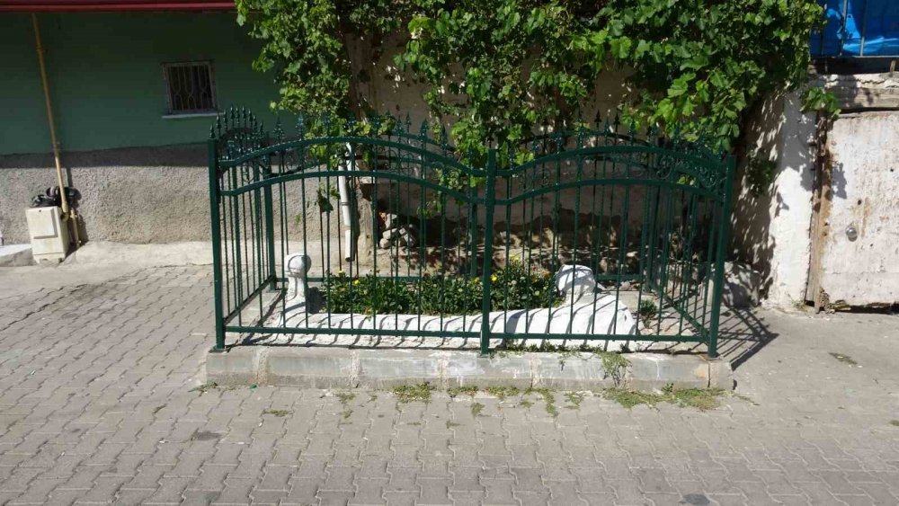 Tokat'ta gizemli mezar! 100 yıldır yolun ortasında, duruyor, kime ait olduğu bilinmiyor!