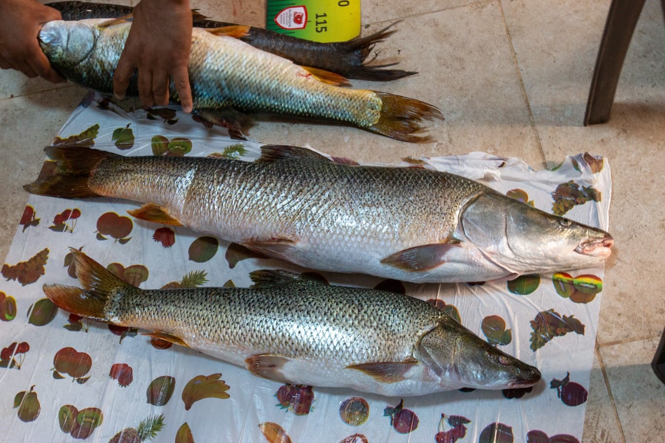 Balıkçılar festivalde, birincilik için olta attı!