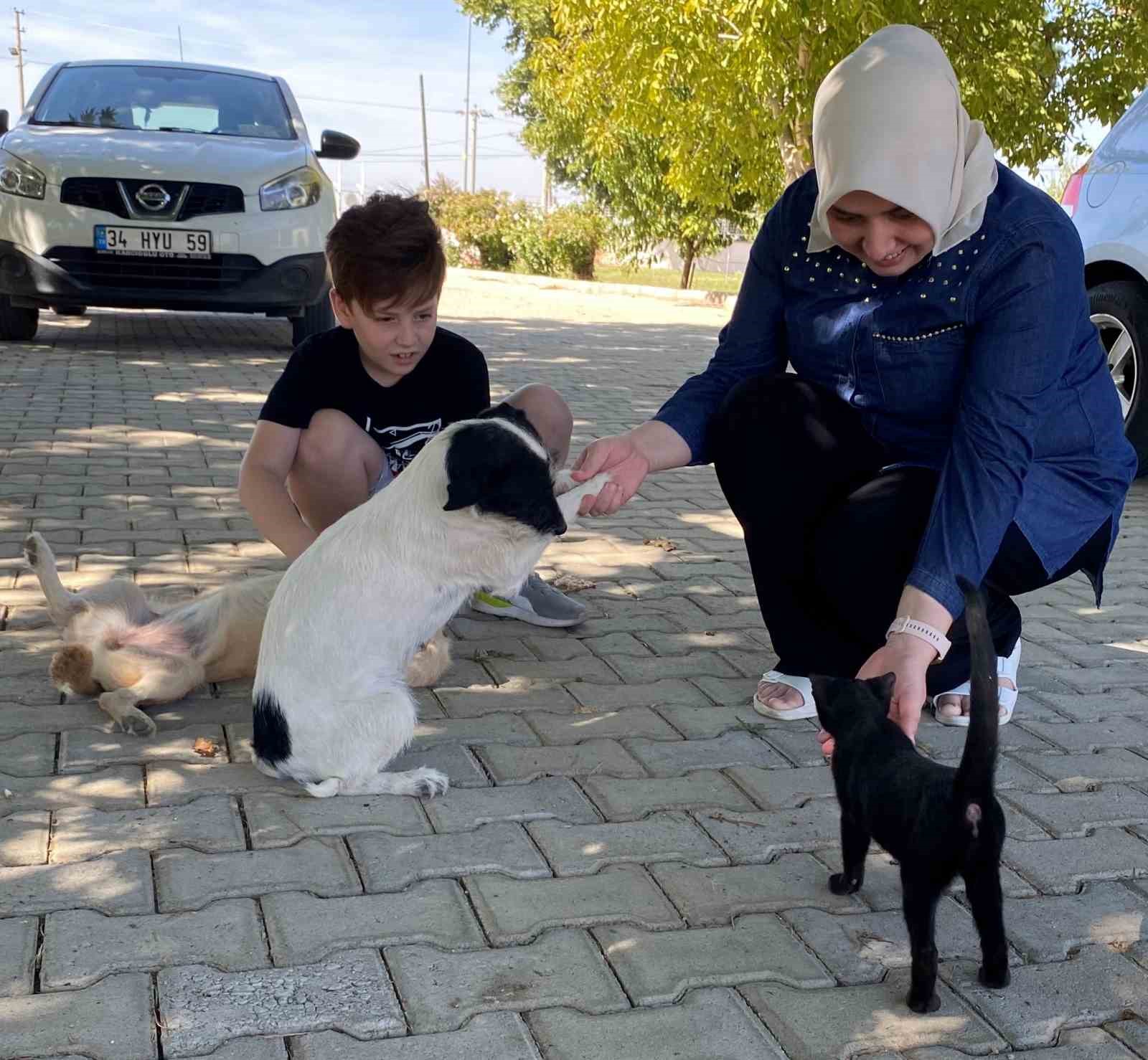 Kedi ve köpeğin dostlukları, görenlere örnek oldu