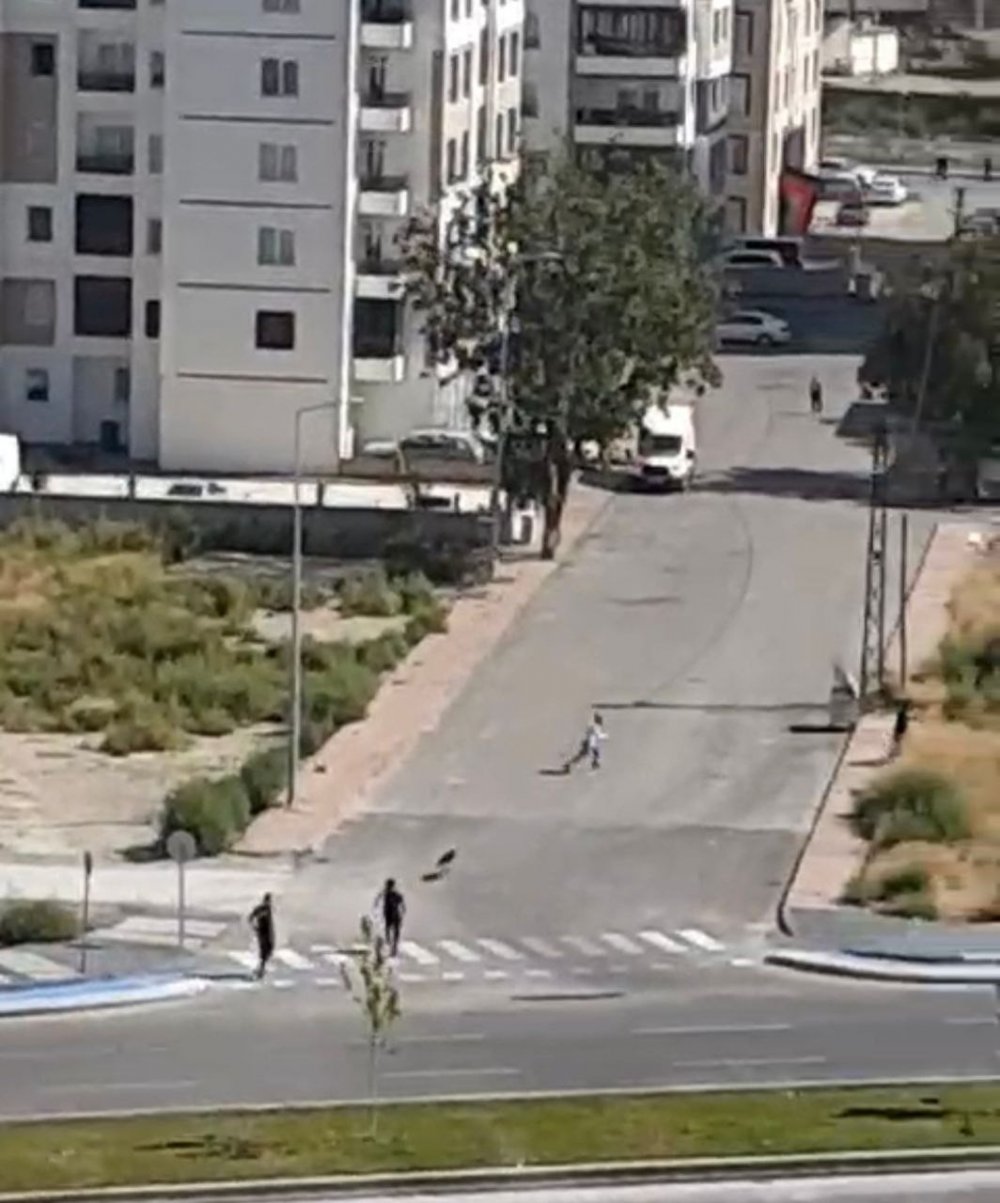 Kayseri'de sokak köpeği vahşeti! Sokak köpeğinin saldırısına uğrayan genç çığlıklarıyla mahalleyi inletti!