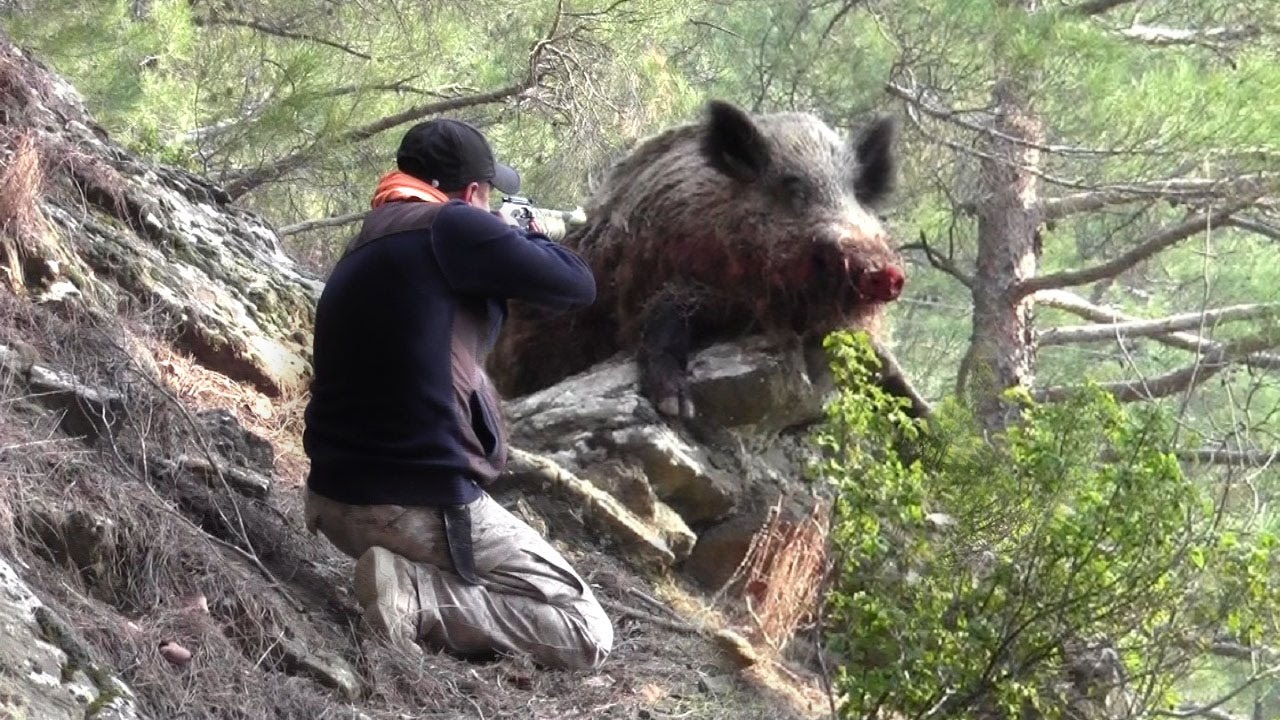 Domuz sandı peş peşe ateş etti! Ava gittiği arkadaşını katletti! 