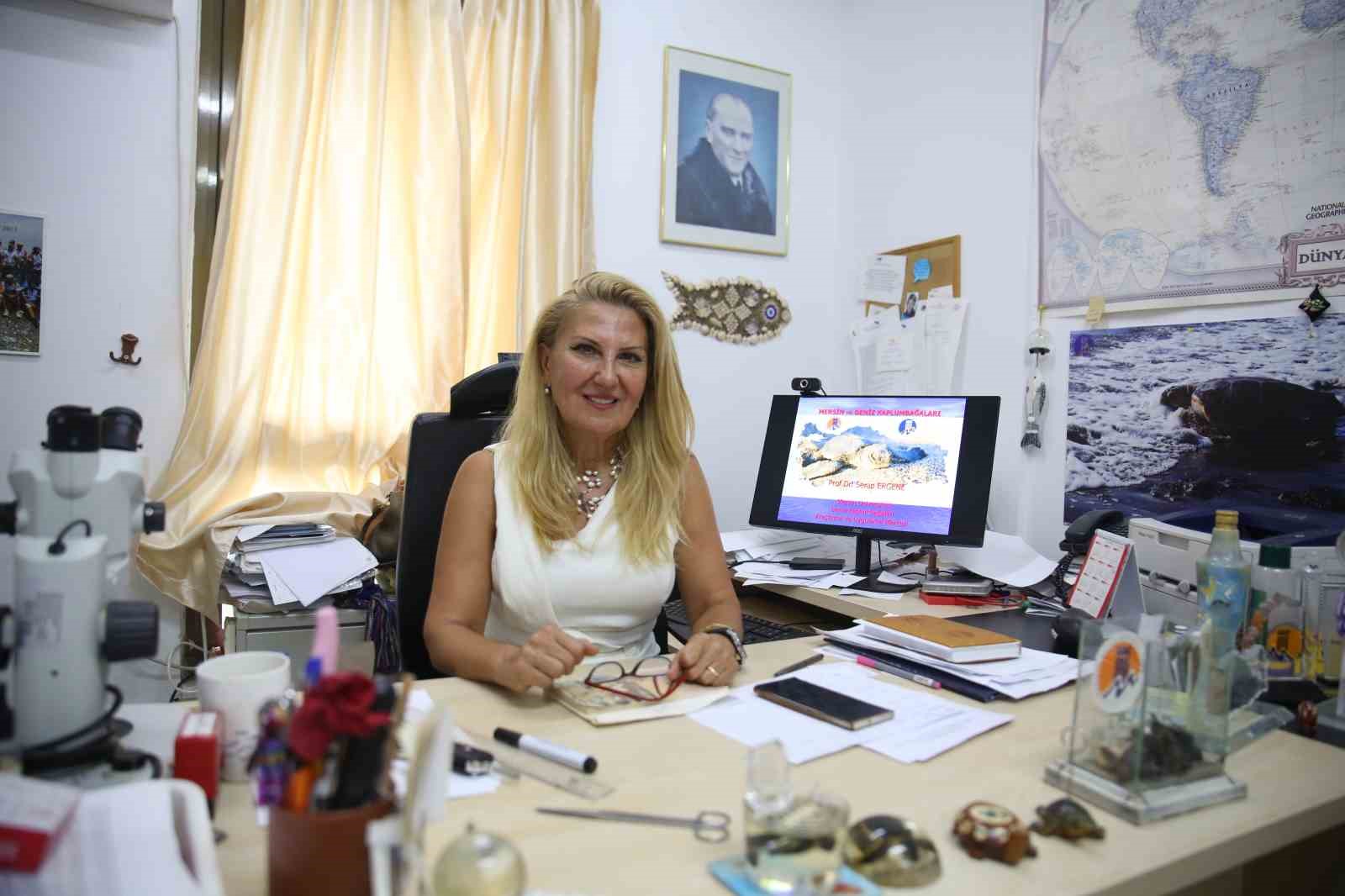 Minik karetta, karettalar denize koştu! 250 bin yavru kaplumbağa denizle buluştu