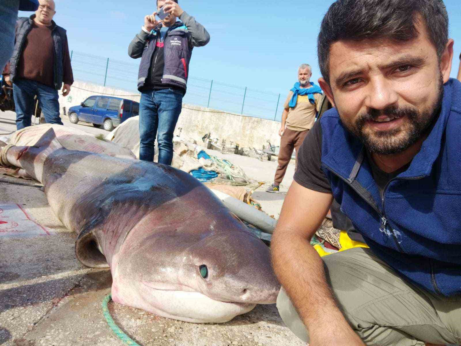 Ağına takılan 1 tonluk 3.5 metre boyundaki köpek balığıyla özçekim yaptı!