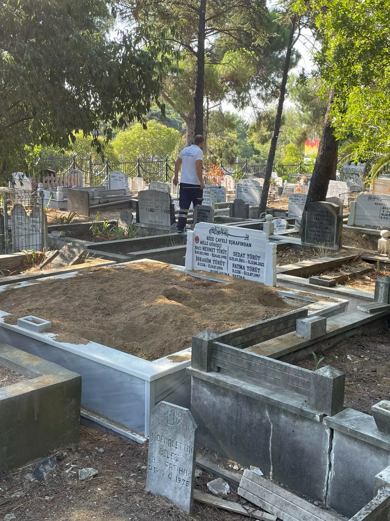 Köpeklerin meskeni halinde geldi! Başıboş köpekler Süleyman Seba’nın mezarını tahrip etti