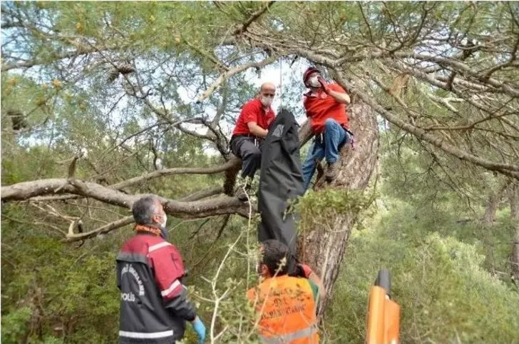 45 gündür kayıp kadın, zeytin ağacına asılı olarak bulundu! 