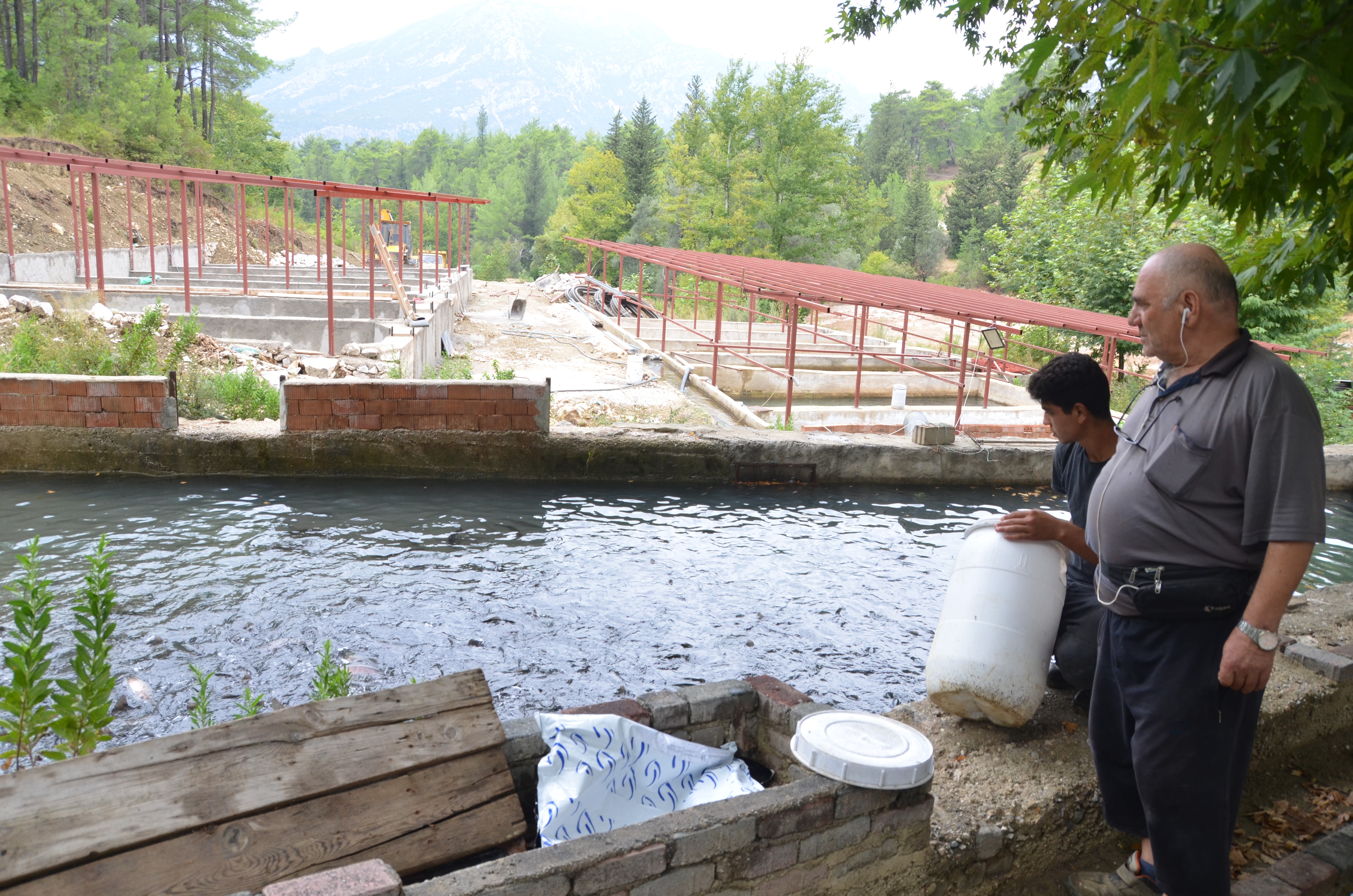 Hobi olarak başladı, patron oldu! Alabalık tesisinde her yıl milyonlarca somon ve alabalık üretiyor