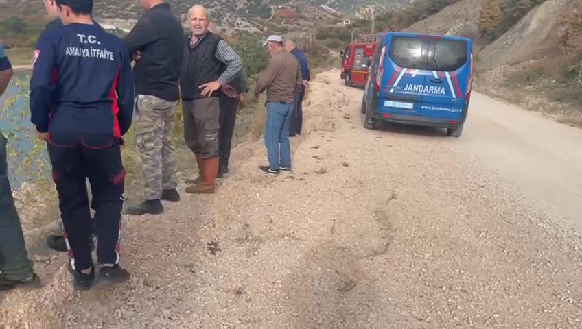 Otomobile giren eşek arısı kaza yaptırdı! Sürücü kontrolu kaybedip gölete uçtu!