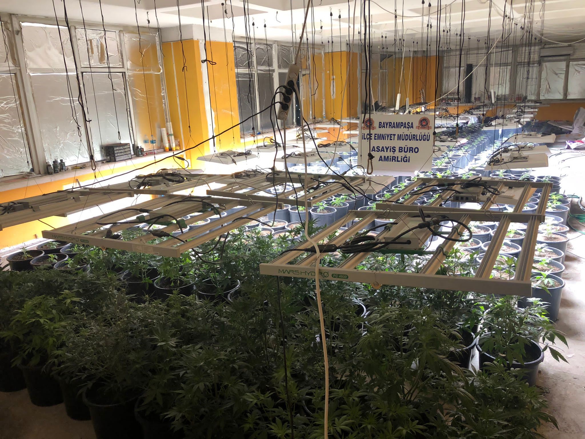 İstanbul'da bir adrese yapılan uyuşturucu operasyonda tam düzenekli Hint keneviri tarlası ortaya çıktı