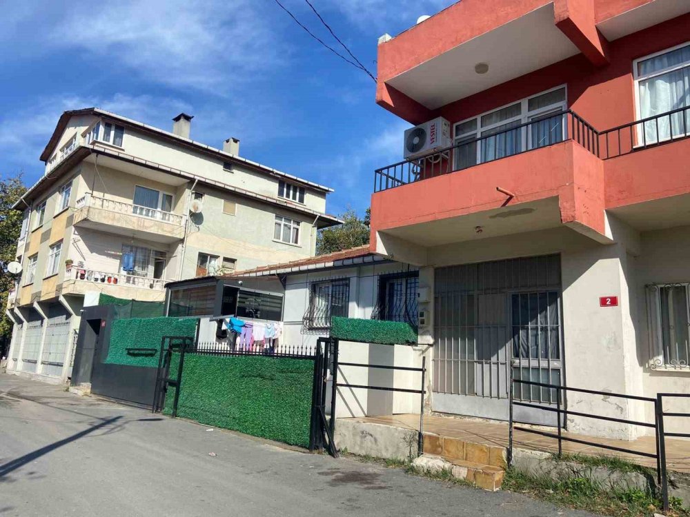 Polat çiftini eski komşularından çok çarpıcı açıklama: Yaşam mücadelesi veriyorlardı