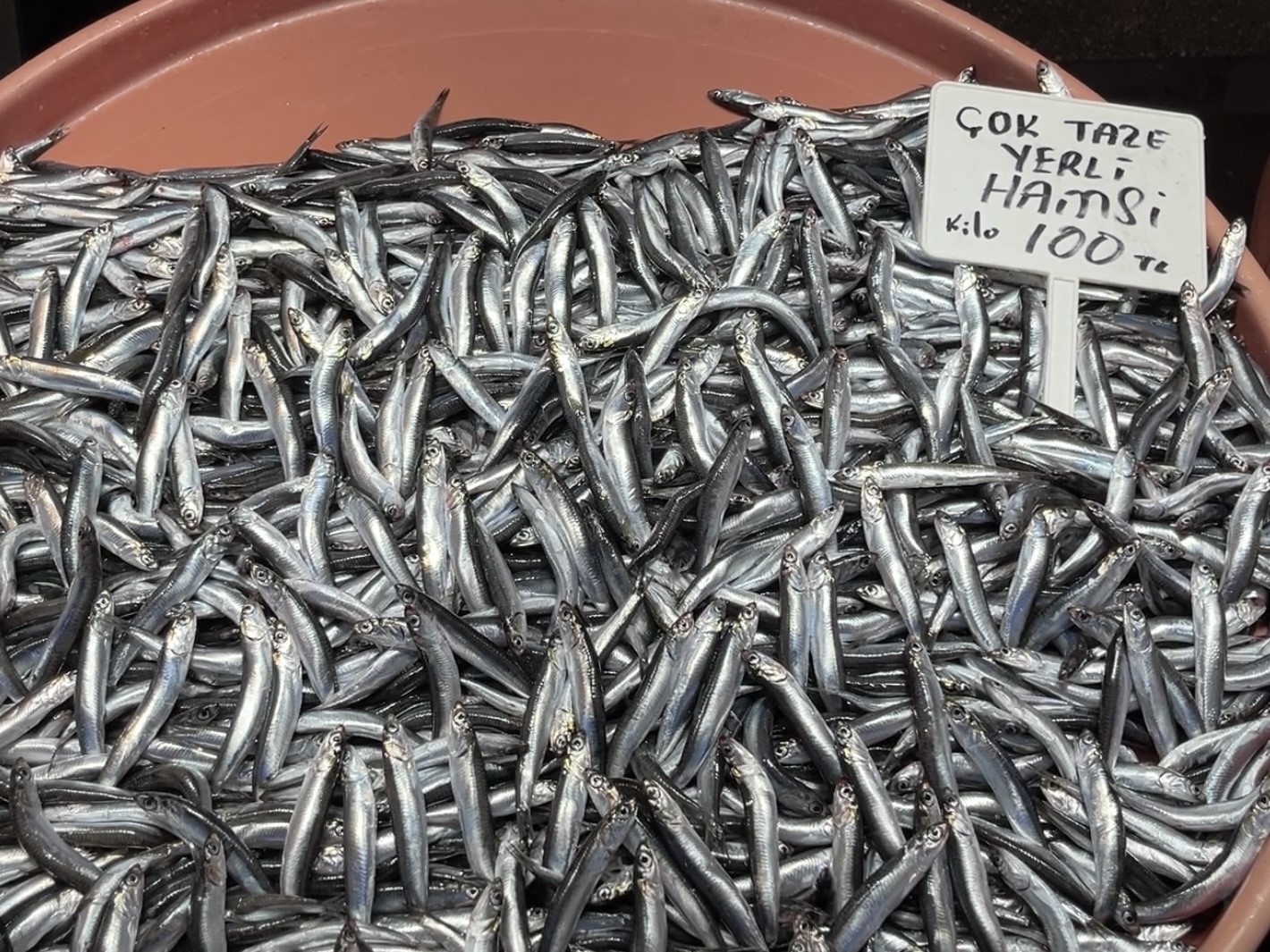 Marmara'daki şiddetli lodos balıkçıları da vurdu! Bakın balık fiyatları ne kadar oldu?