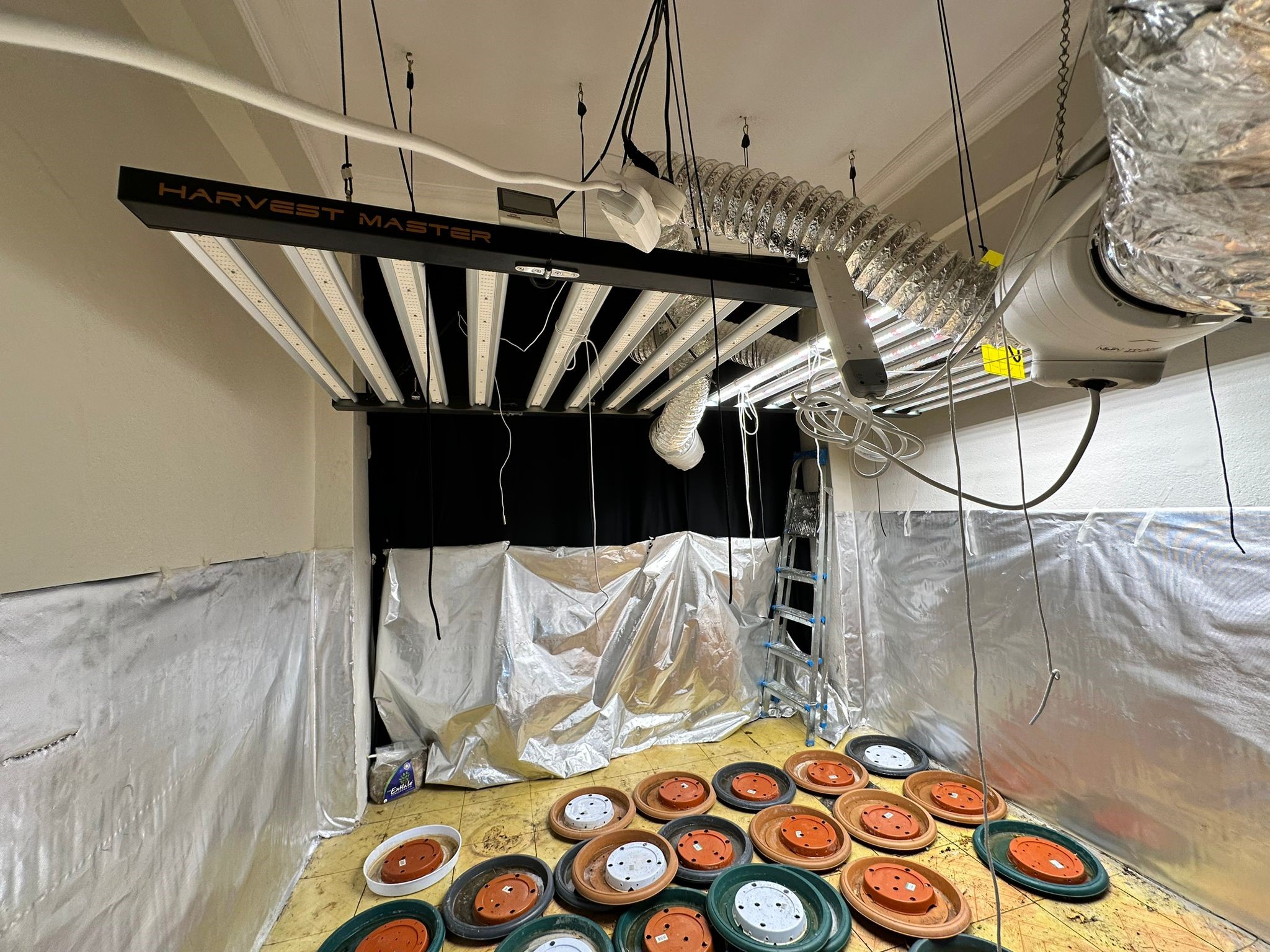 Eyüpsultan’da bir evi uyuşturucu serasına çevirdiler! Yakalanmamak için evin giriş ve çıkışlarını farklı kapıdan yaptılar!