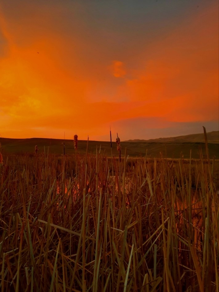 Van'da yaşanan hava olayı cehennemi andırdı! Kızıl sema görenleri ürküttü!