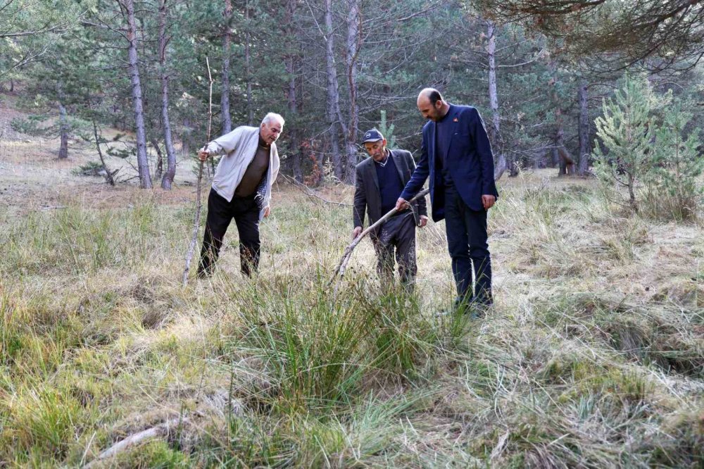 Sivas’ta petrol heyecanı! Köylüler her yerden fışkırdığını açıkladı!
