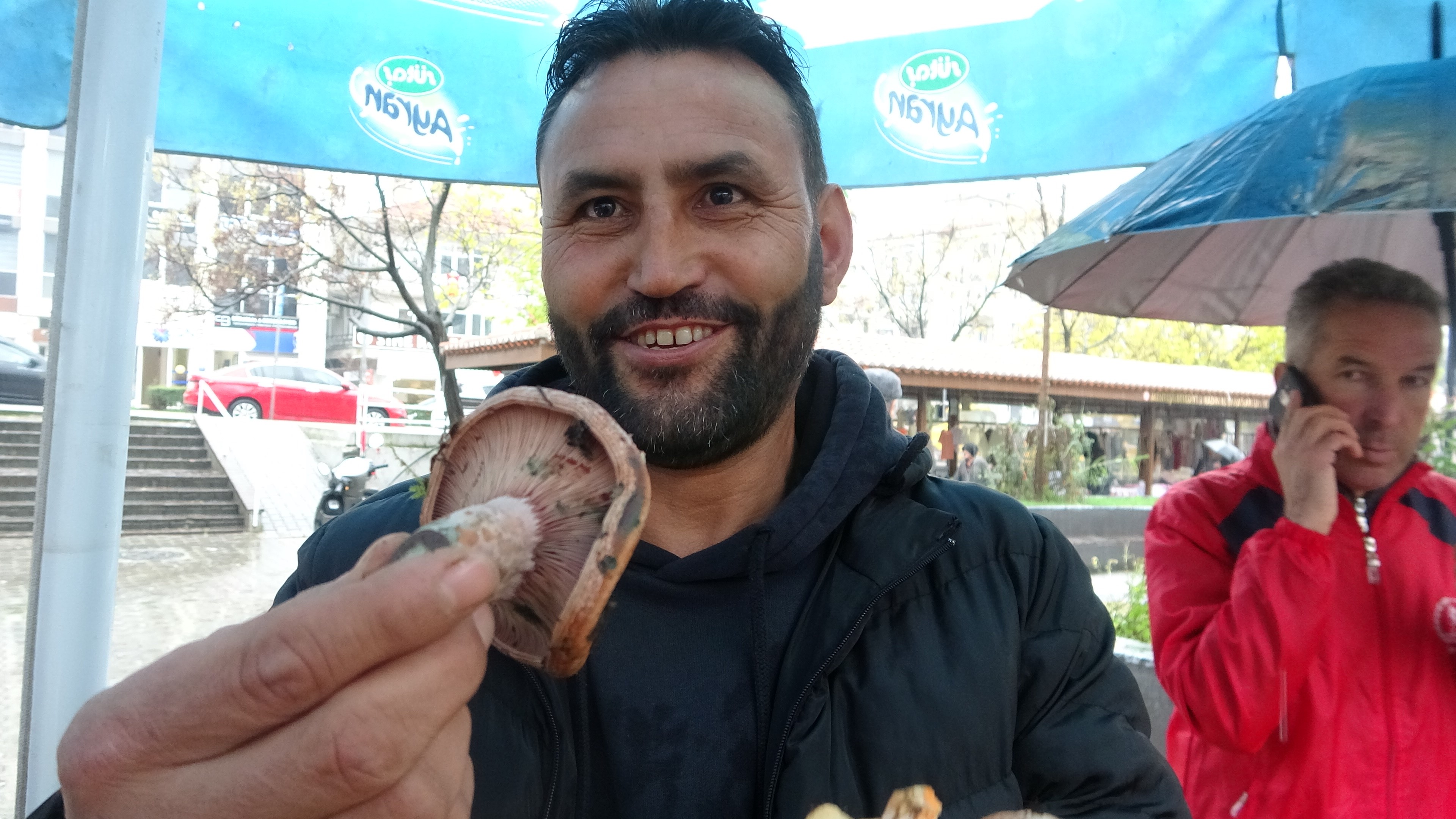 Kızılçam ormanlarından gelen doğal lezzet çıntar fiyatıyla ete rakip oldu!