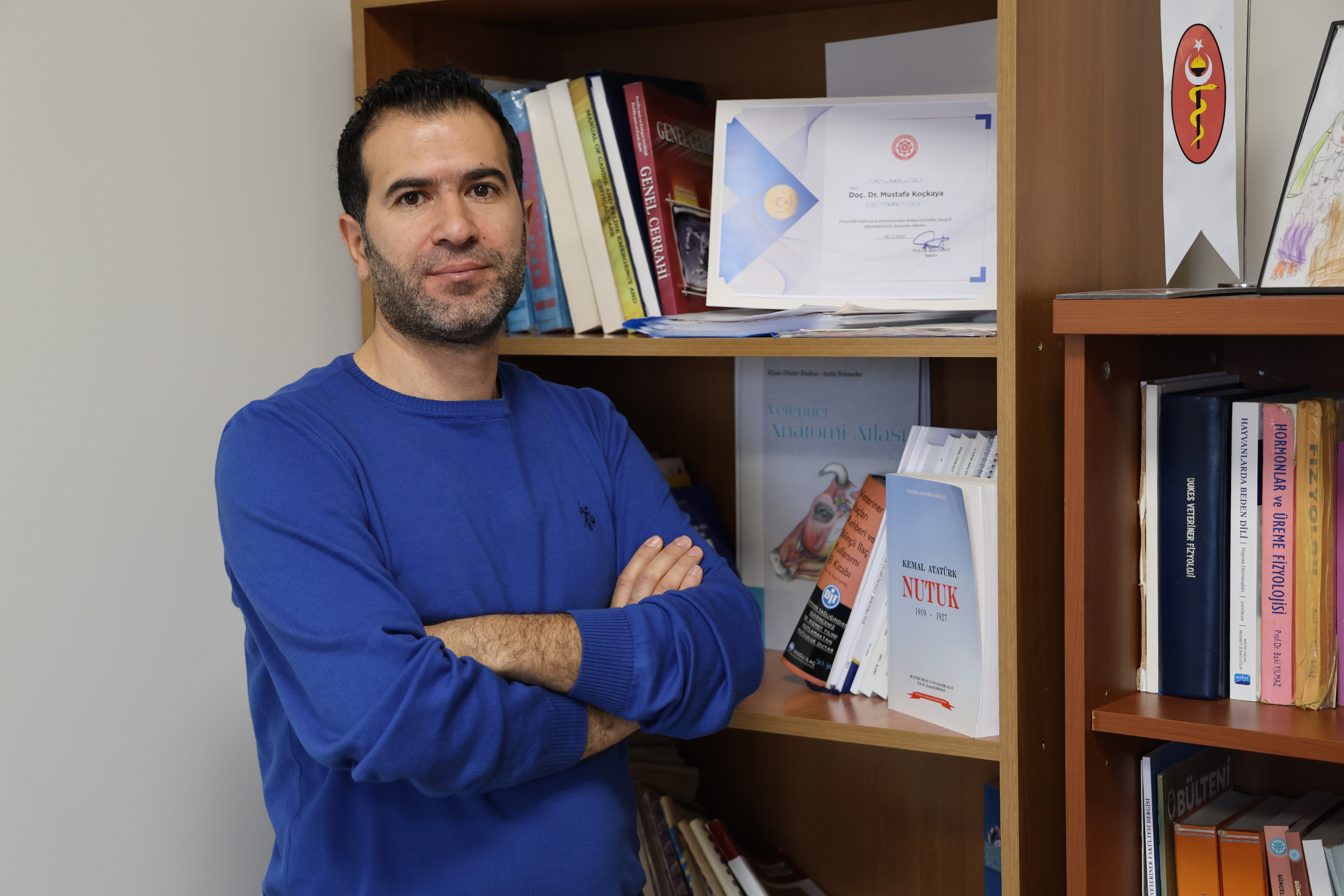 Uzman Veteriner, başı boş köpeklerin saldırısından korunmanın yöntemini açıkladı!