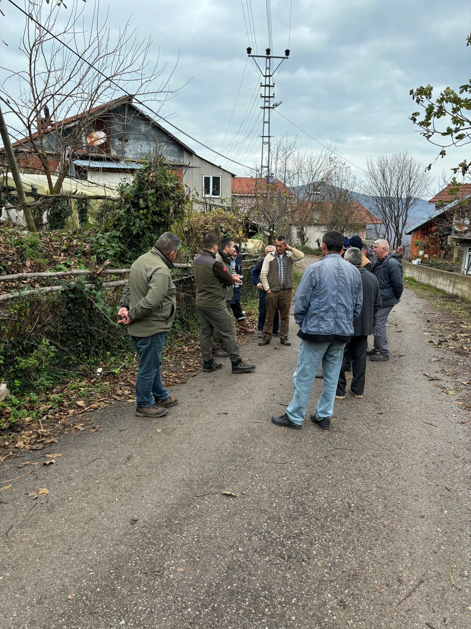 Bahçeye girerken tellere takılan ayı, çaresizce kurtarılmayı bekledi!