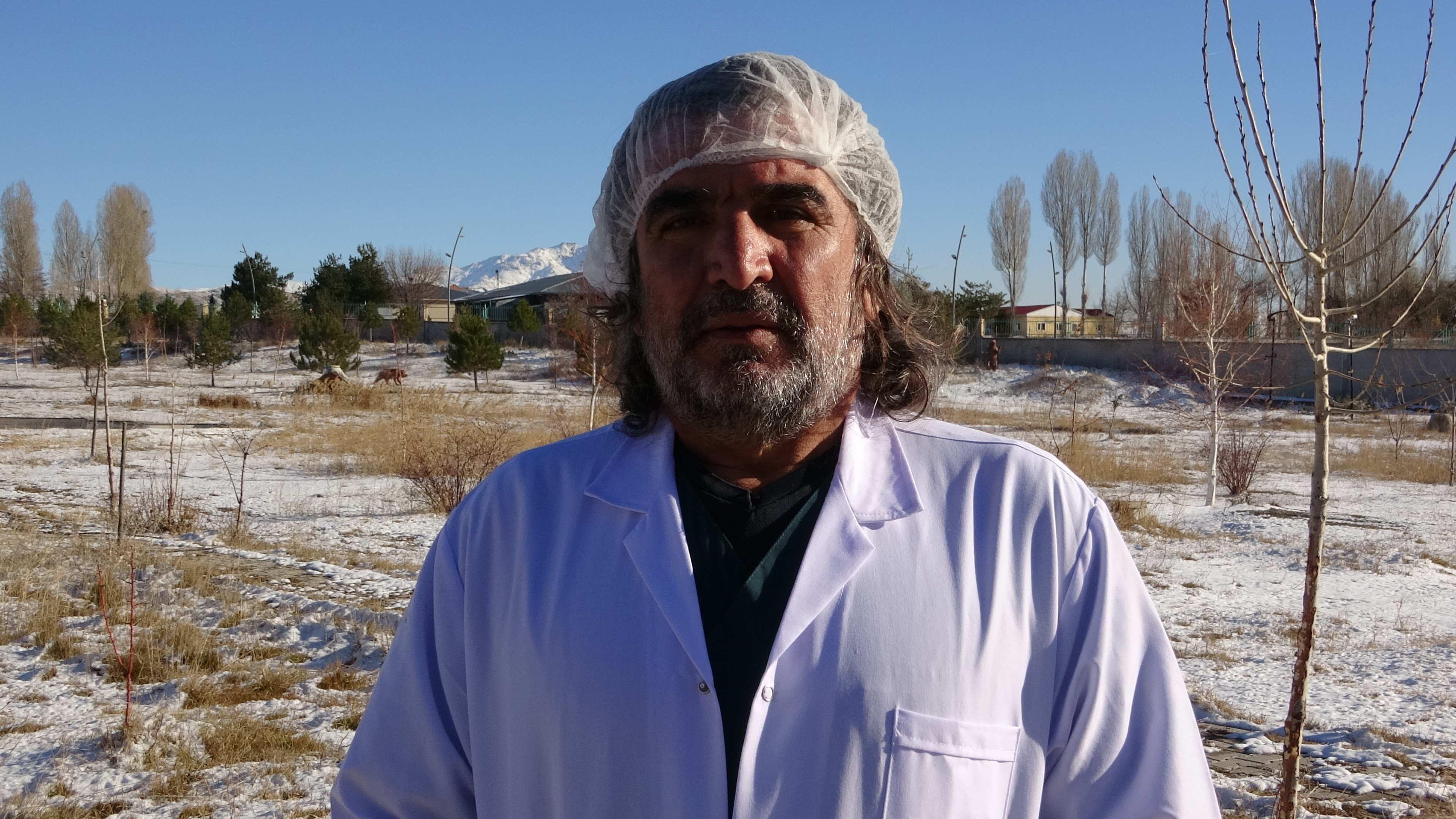 Ayıların doğası bozuldu! Kış uykusuna yatmayan ayılar, bilim insanlarını endişelendiriyor