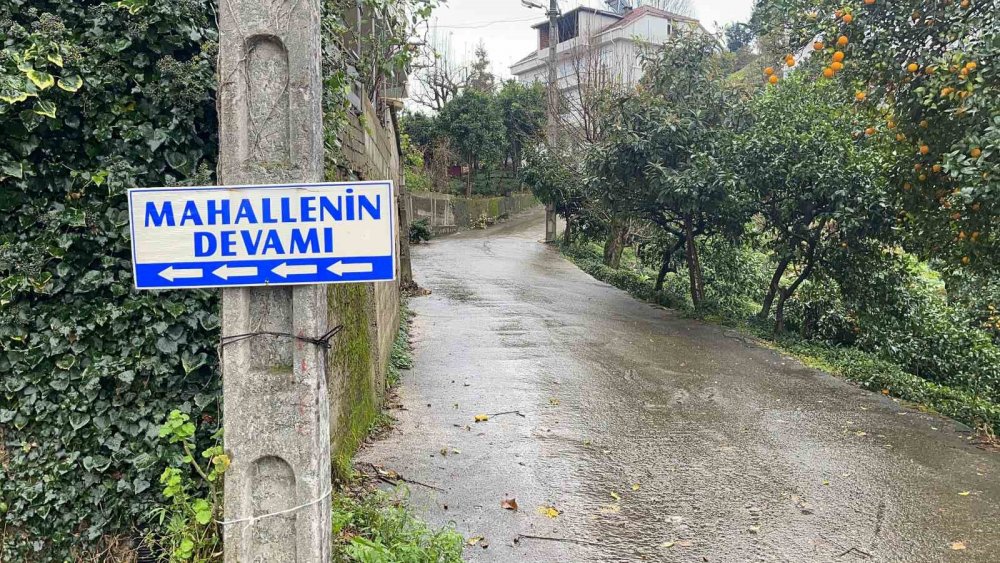 Rize'de ilginç tabela, görenler önce şaşırıyor ama sonra da gülmekten kendini alamıyor