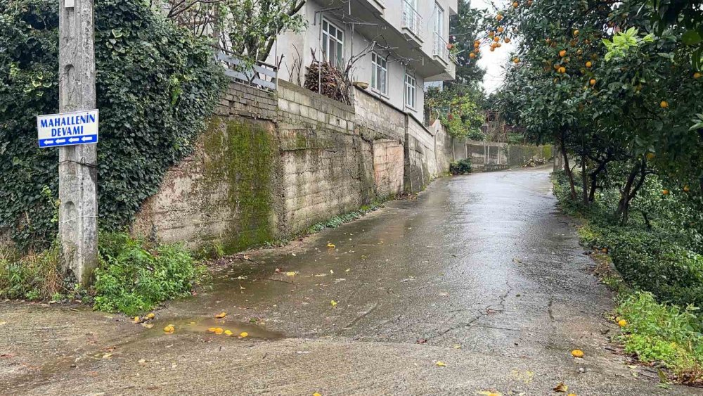 Rize'de ilginç tabela, görenler önce şaşırıyor ama sonra da gülmekten kendini alamıyor