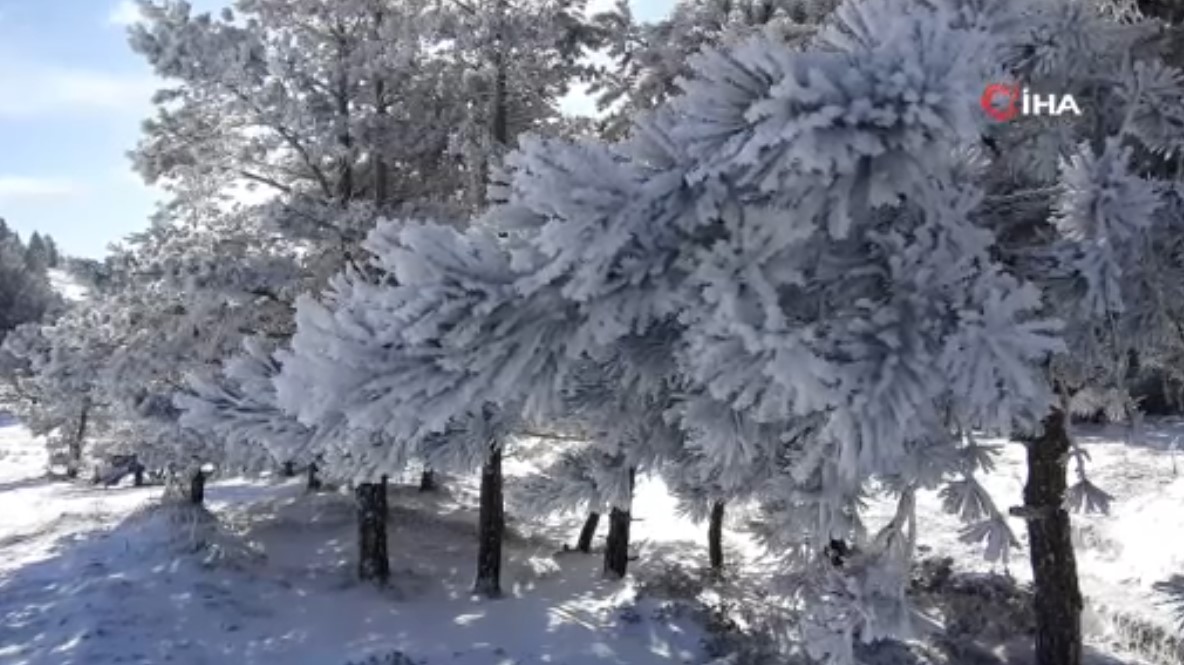 Bolunun meşhur kar manzarasını görmek isteyen aile, yolda mahsur kaldı!