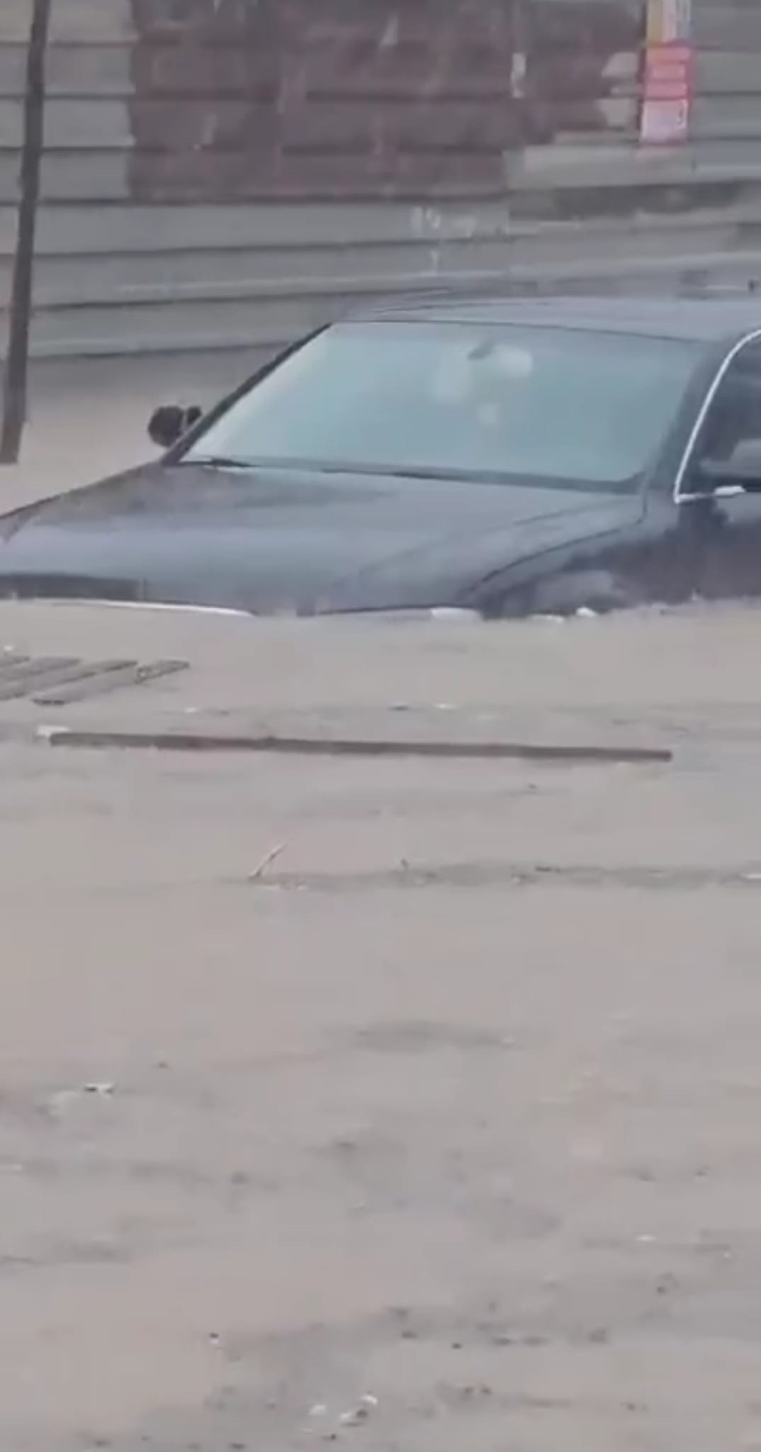 Selin vurduğu İzmir Dikili'de arabalar suya gömüldü! Okullar yarım gün tatil edildi! 