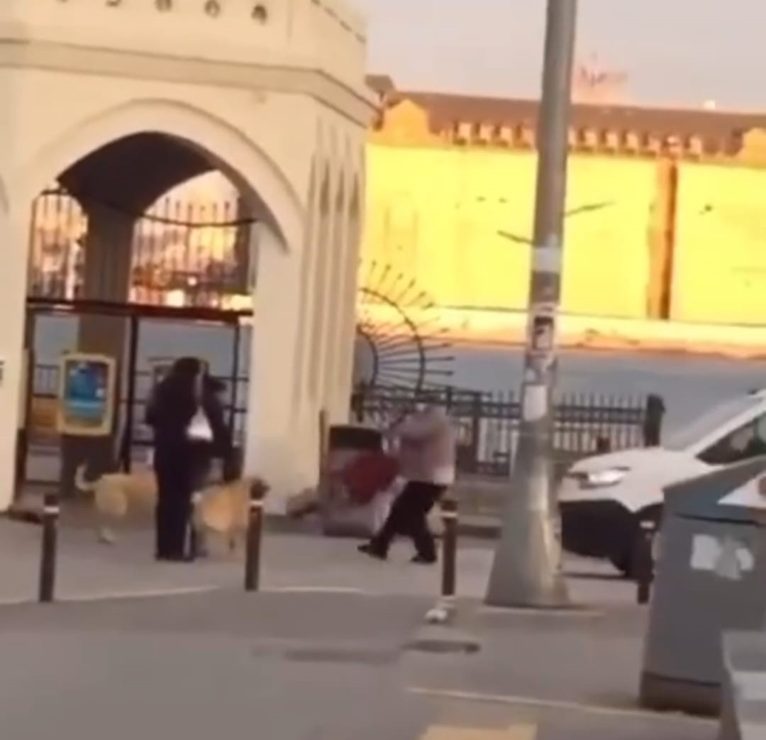 Kadıköy'ün göbeğinde köpeklerin saldırısına uğrayan yaşlı kadın, yerlerde yuvarlandı!