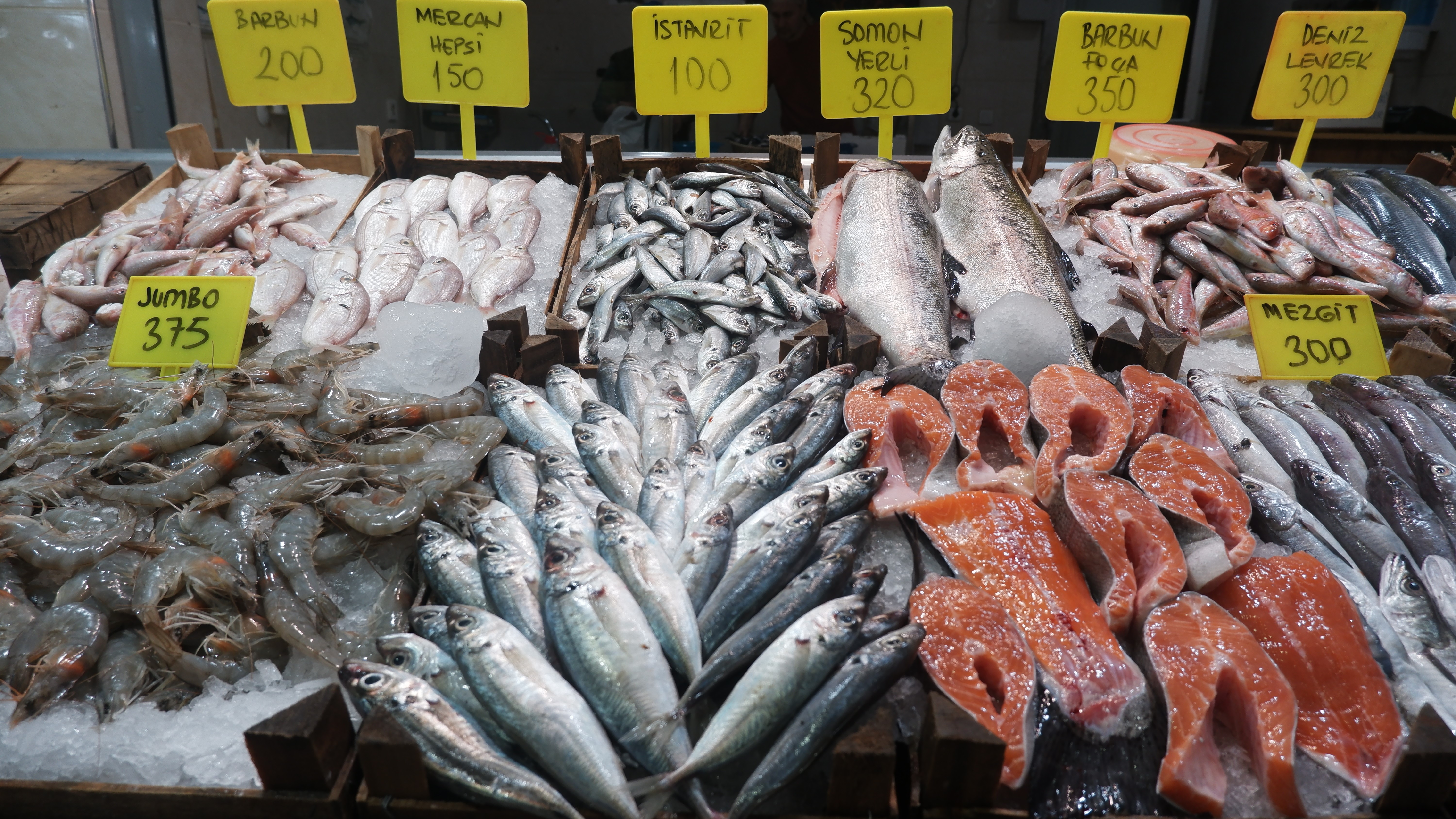 Tezgahlarda levrek bereketi! Ocak ayında balıkçıların yüzünü levrek güldürdü!
