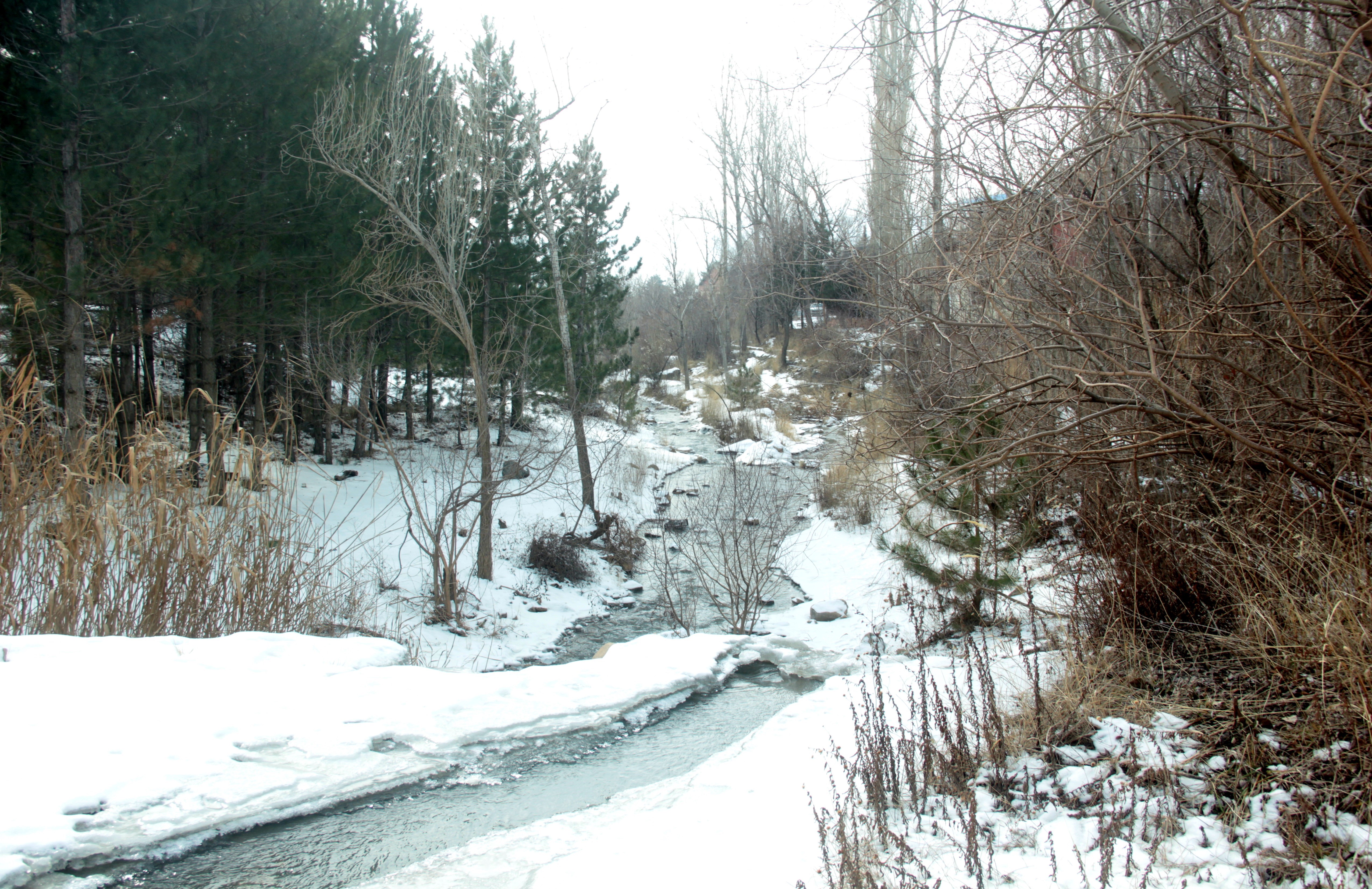 Soğuk havanın esir aldığı Erzincan’da dereler ve şelaleler buz tuttu!