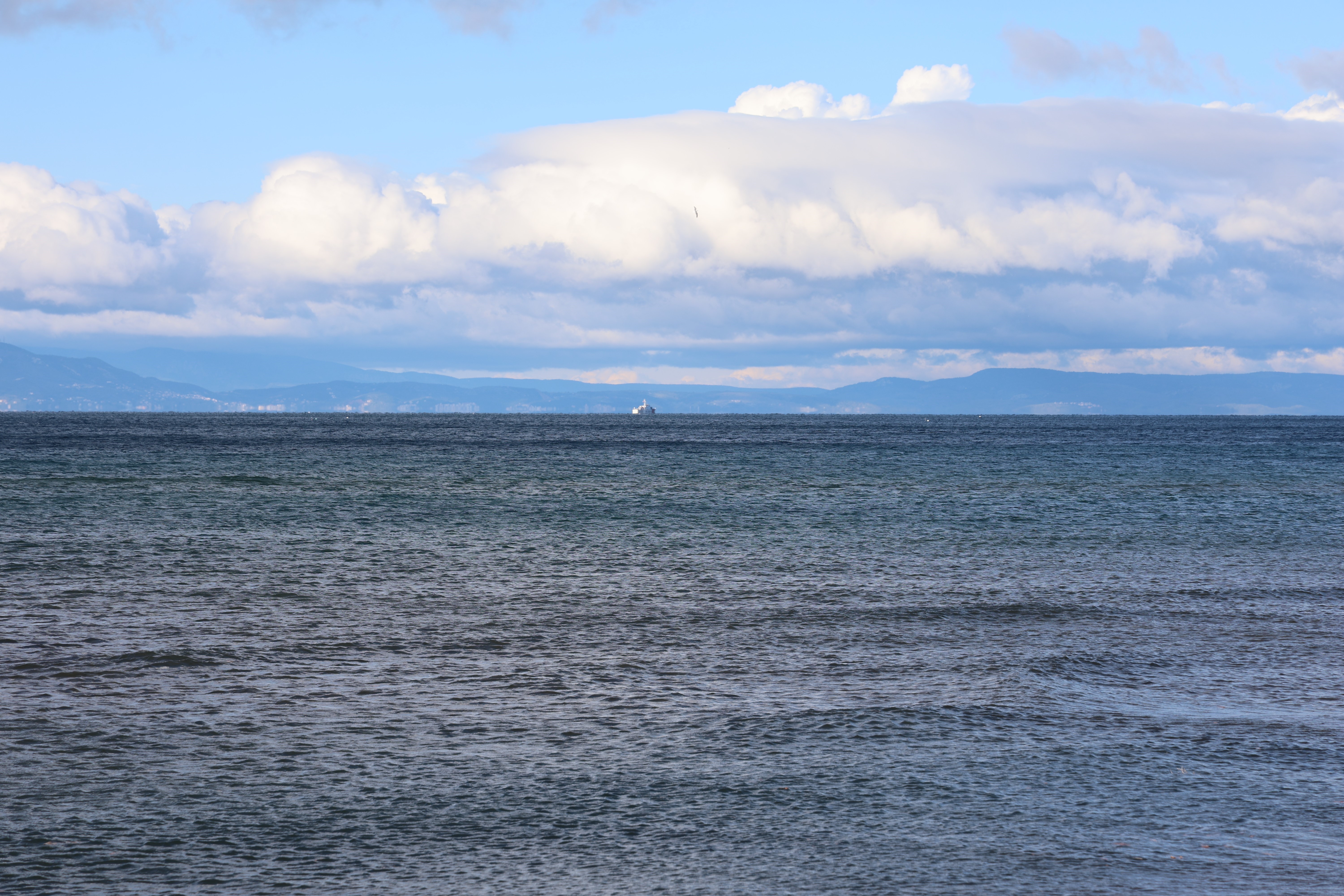 İzmir'in Dikili'deki balıkçı teknesi faciasında, kayıp bir kişinin daha cesedine ulaşıldı!