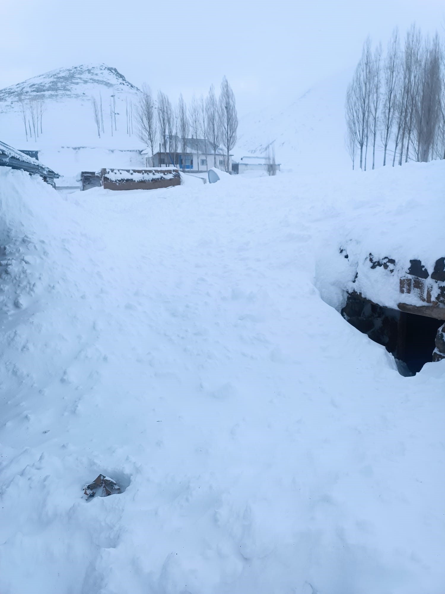 Van’da yağan kar felâkete dönüştü! Bir evin üzerine çığ düştü!