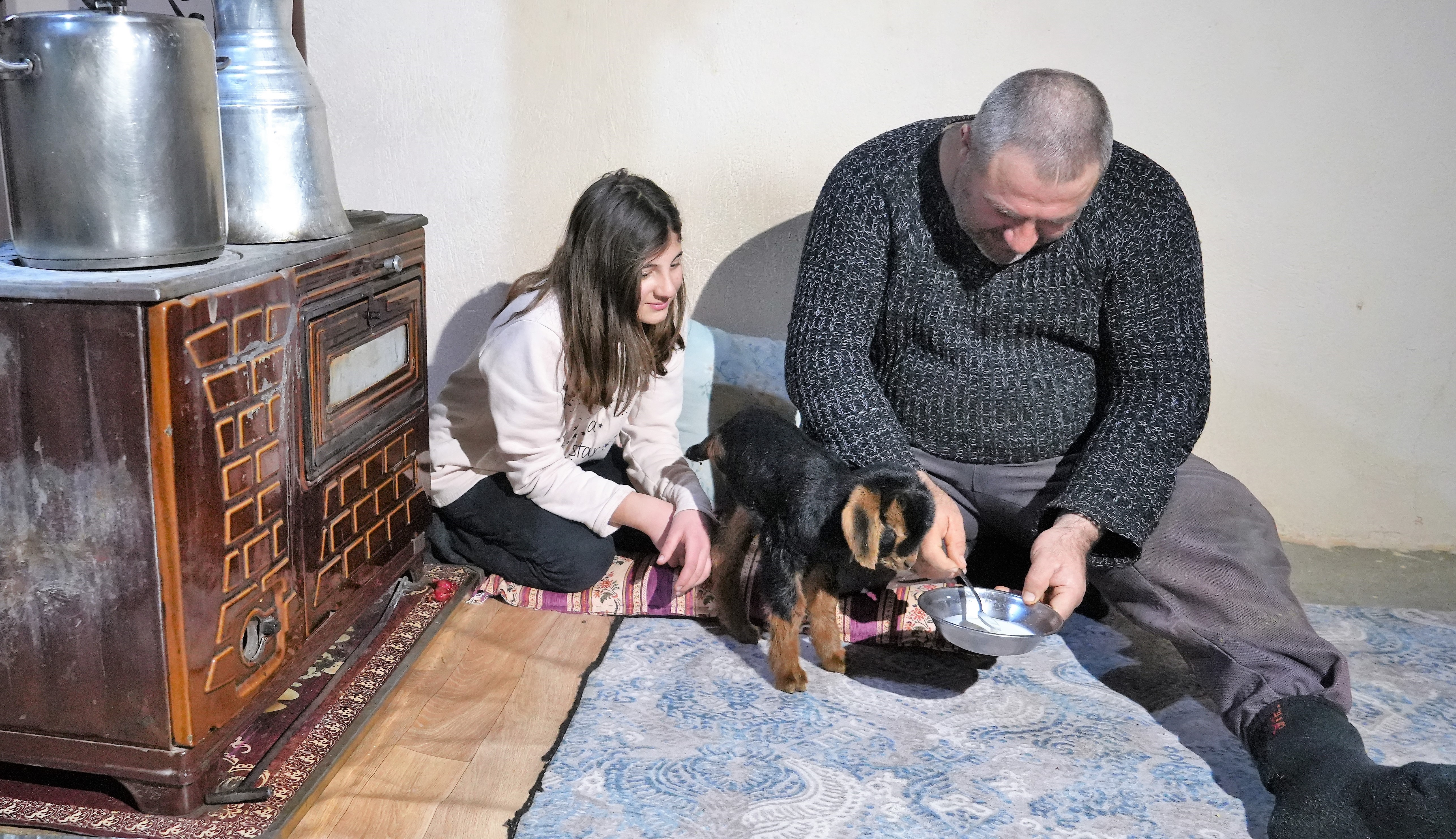 Muş'ta 3 ayaklı doğan oğlak, ailenin maskotu oldu!