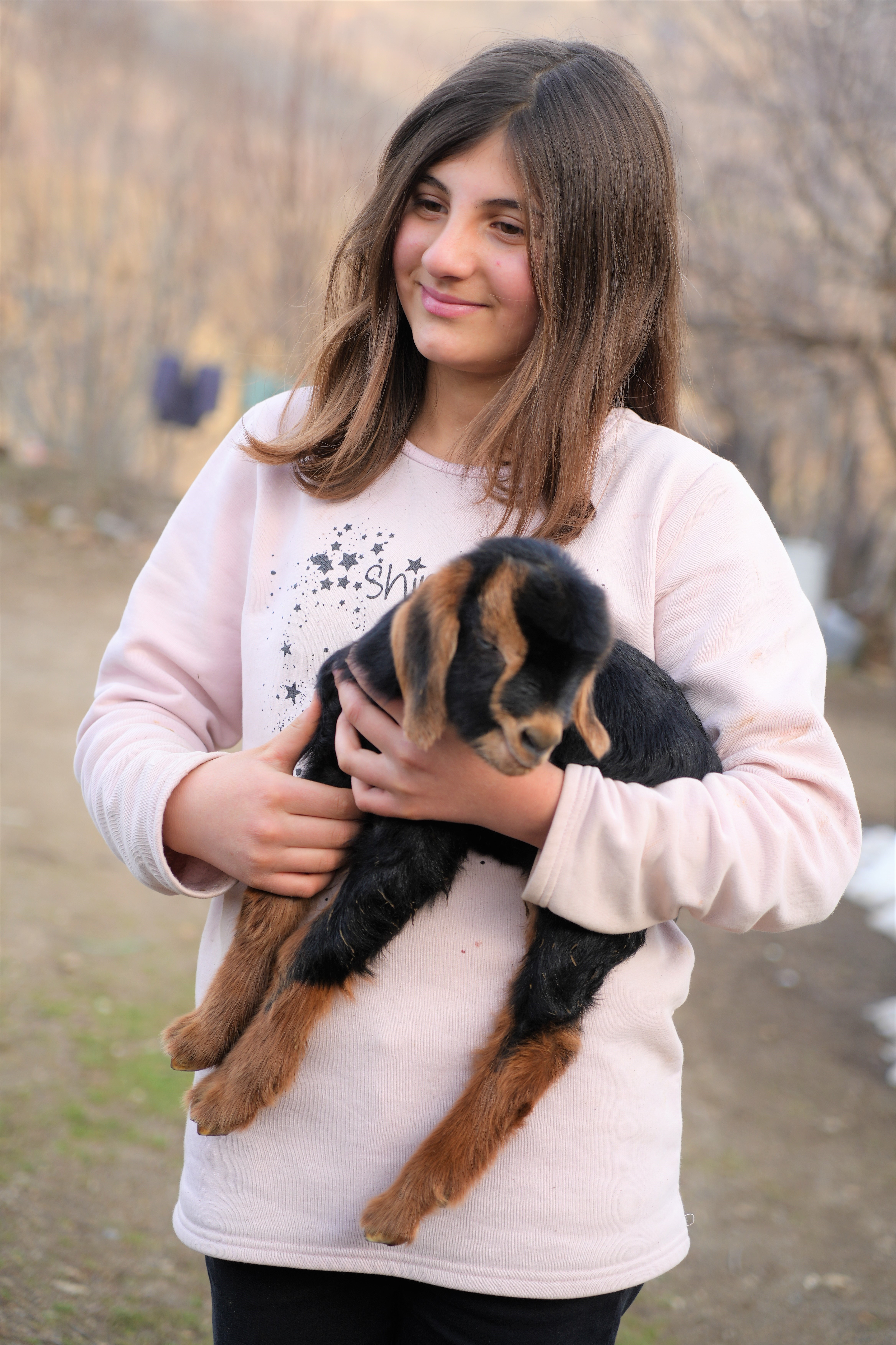 Muş'ta 3 ayaklı doğan oğlak, ailenin maskotu oldu!