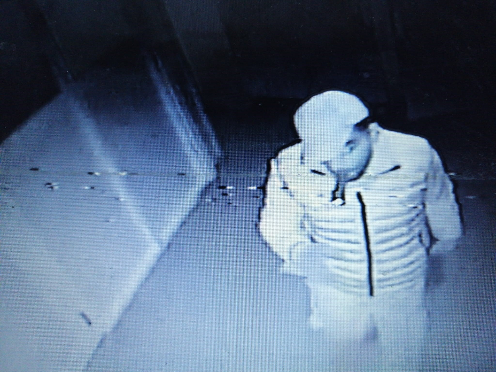 Polisten kaçamayan hırsız maymun gibi ağaca tırmandı! 