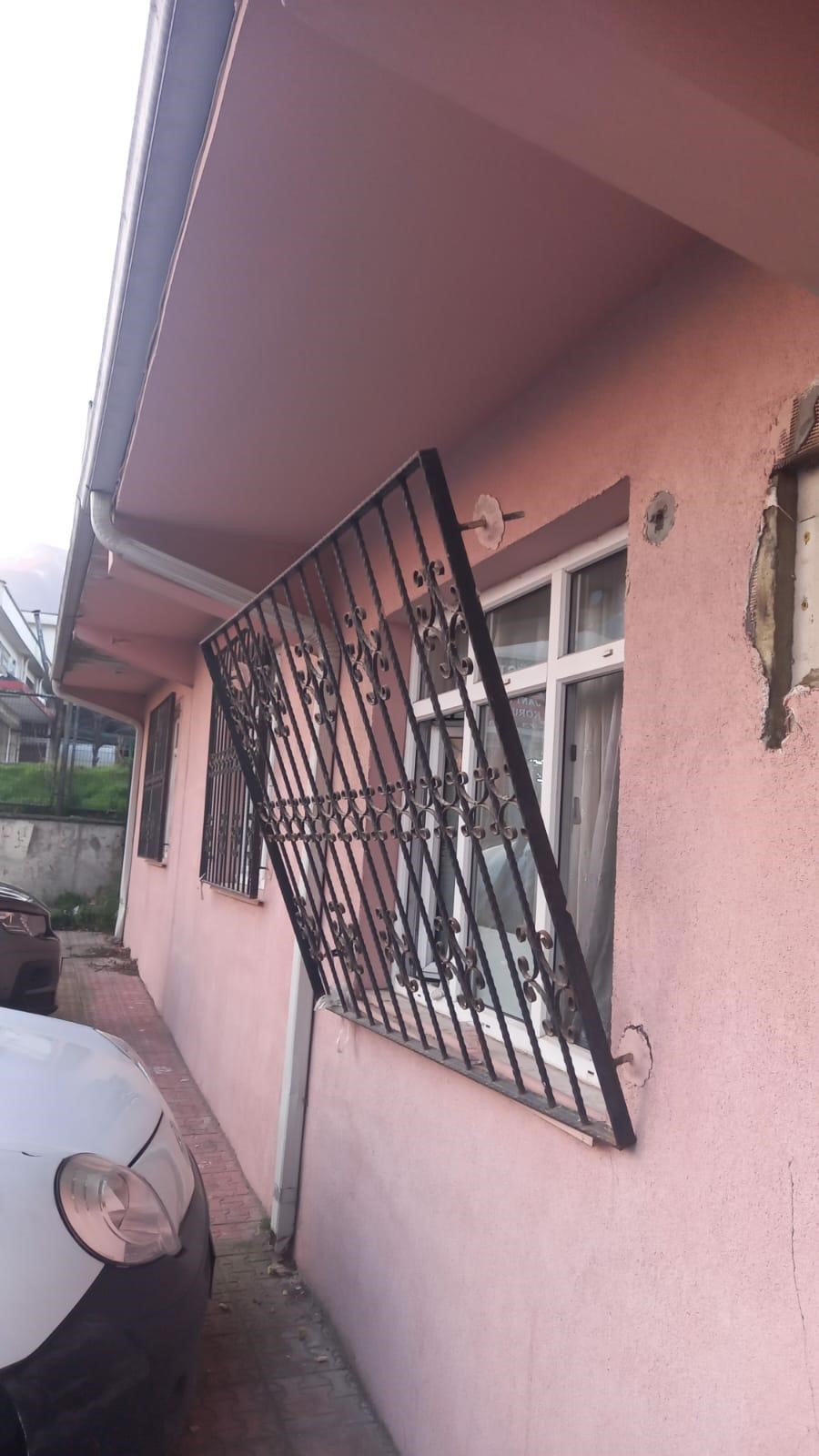 Polisten kaçamayan hırsız maymun gibi ağaca tırmandı! 