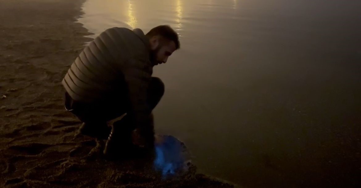 Marmara Denizi'nde alg patlaması! Suya dokunanlar şaşkına döndü! 