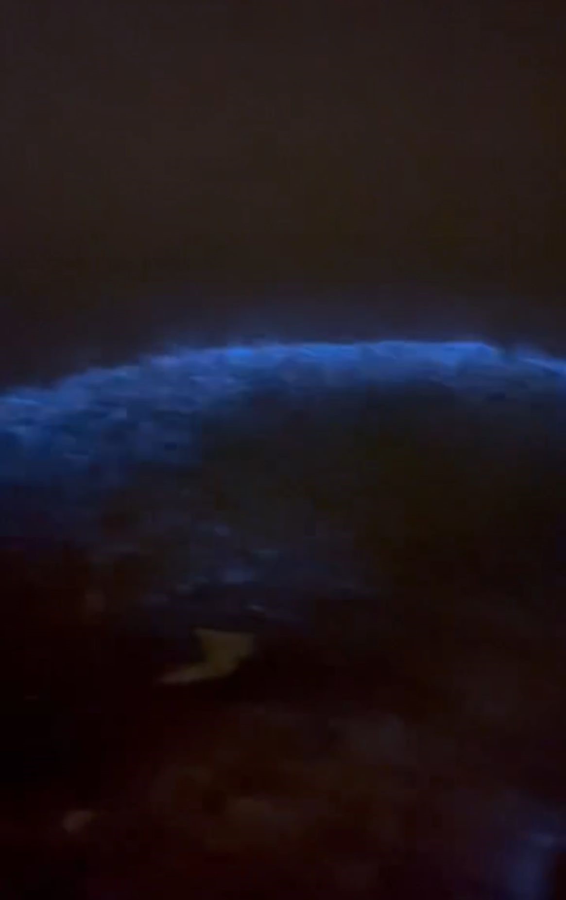 Marmara Denizi'nde alg patlaması! Suya dokunanlar şaşkına döndü! 