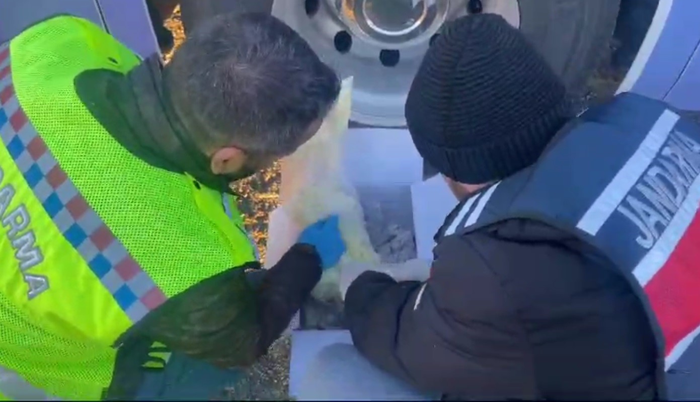 Kars’ta tarihi eserleri peynir paketlerine gizlediler!