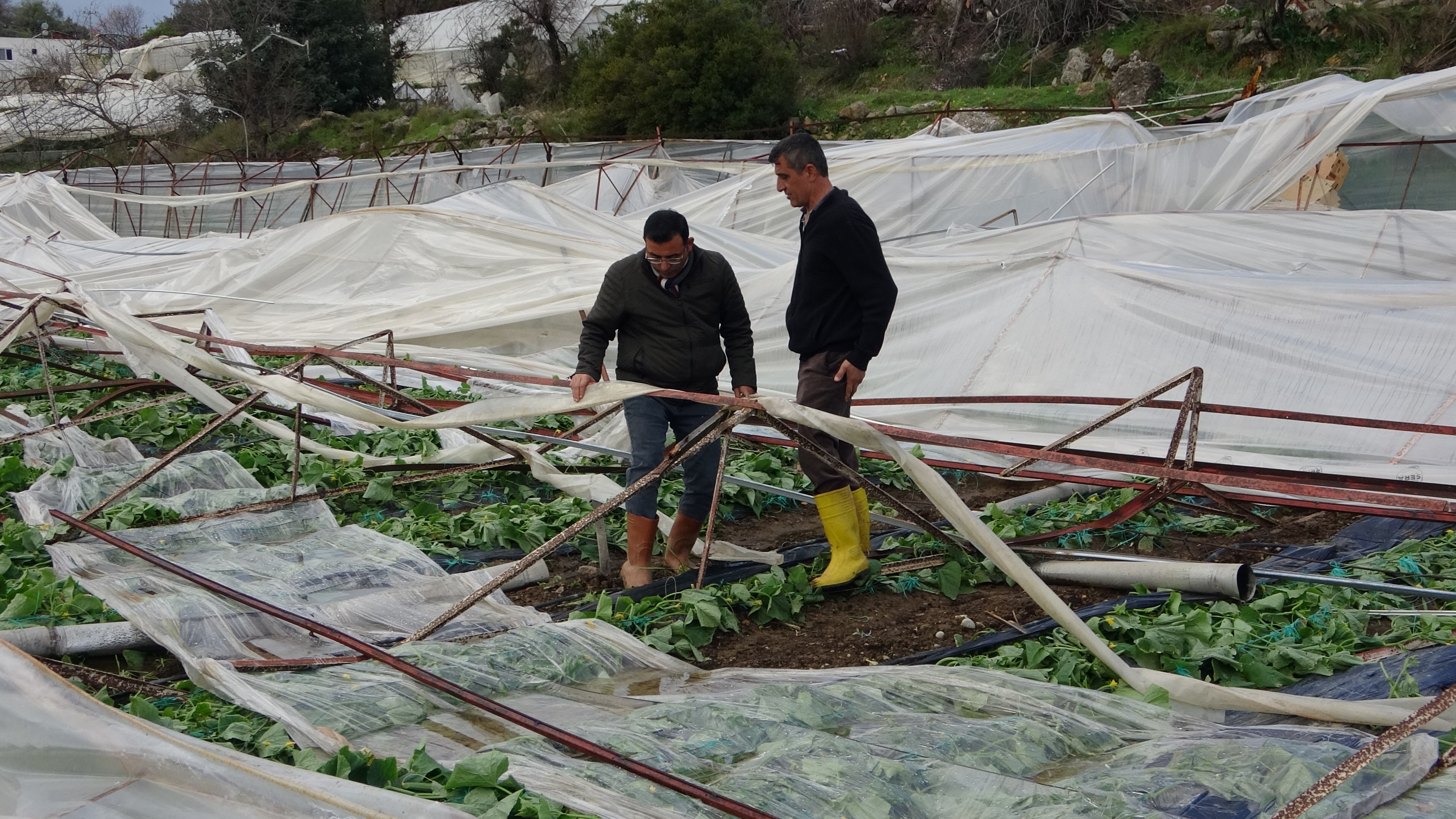 Antalya’nın Alanya ilçesinde çıkan hortum ve ardından gelen fırtına sera bahçelerini yerle bir etti. 