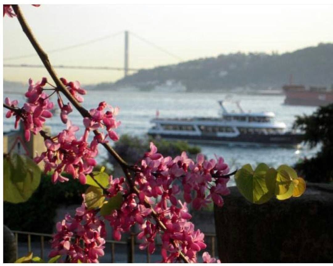 Meteoroloji'den son tahminler... Yurt genelinde sıcaklıklar artacak mı? Salı günü hava nasıl? Bugün hava nasıl olacak?