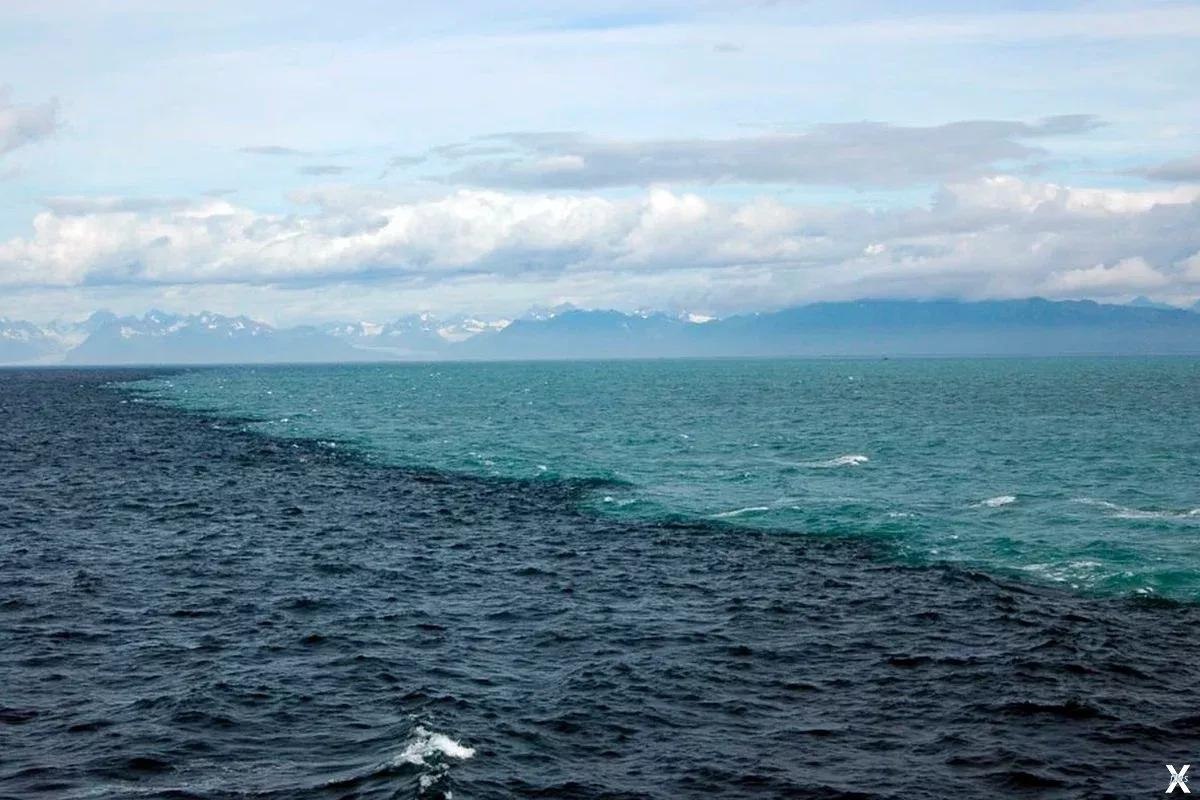 Meteoroloji açıkladı! Soğuk hava ne kadar sürecek? Bugün yağmur var mı? Cuma günü hava nasıl?