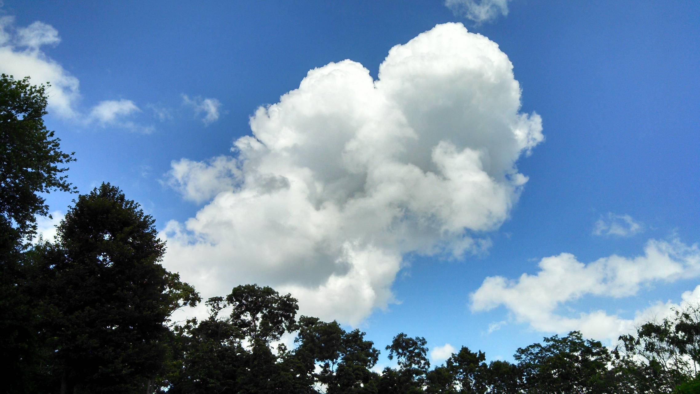 Meteoroloji açıkladı! Hava sıcaklıkları artıyor mu? Yağmur yağacak mı? Bugün hava nasıl olacak? Çarşamba günü hava nasıl?