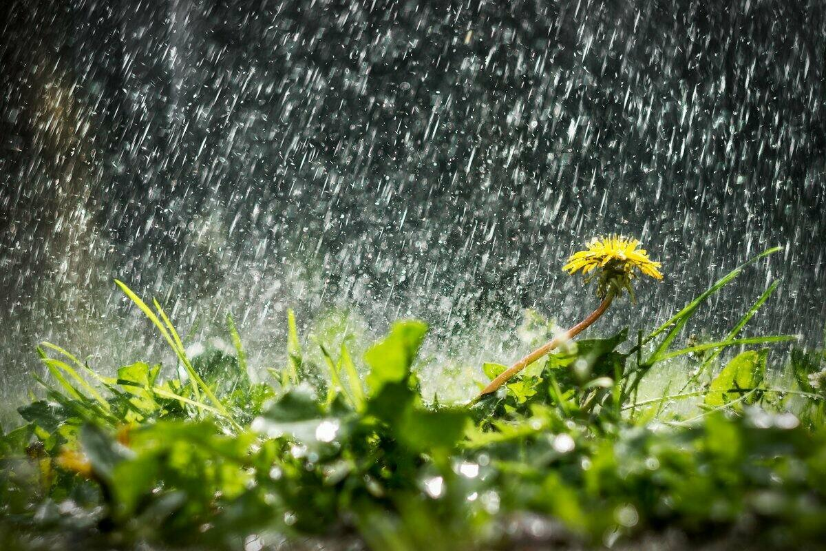 Meteoroloji son tahminlerini açıkladı! Sıcak günler kapıda! Perşembe günü hava nasıl? Bugün hava nasıl?