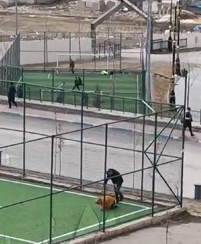 Erzurum’da çekilen görüntüler 'Böyle baba olmaz' dedirtti!