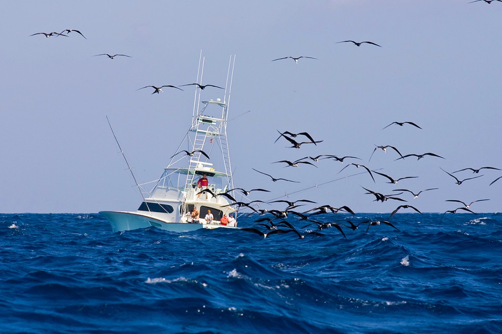 Meteoroloji uyardı! Sağnak yağmur geliyor! Hangi illerimizde yağmur var? Cuma günü hava nasıl olacak? Bugün hava nasıl?