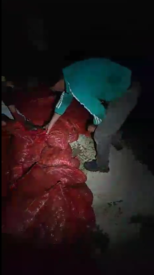 Yalova’da kaçak midye operasyonu! 1 ton 150 kilo kaçak midye ele geçirildi